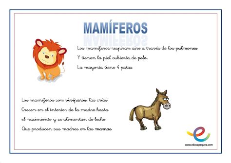 Mamífero Com A Letra P - Mamíferos Com A Letra P - NAZAEDU