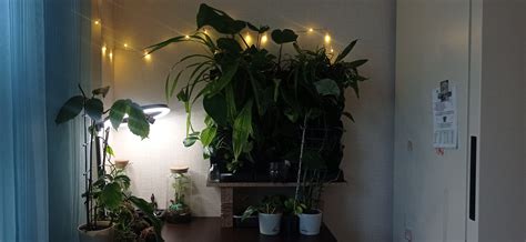 Фитомодули | Пикабу