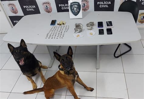 Polícia Civil Prende Sete Suspeitos Pelo Crime De Tráfico De Drogas Na