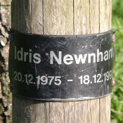 Idris Newnham Tree London Remembers Aiming To Capture All Memorials