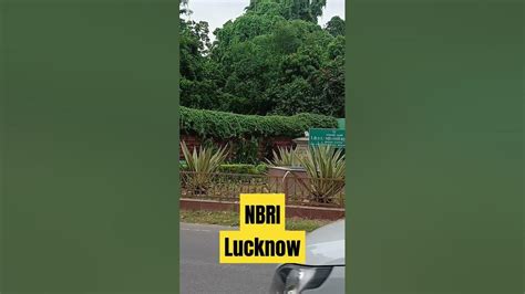 Nbri Lucknow Location Of National Botanical Research Institute Nbri