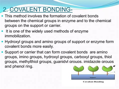 enzyme immobilization
