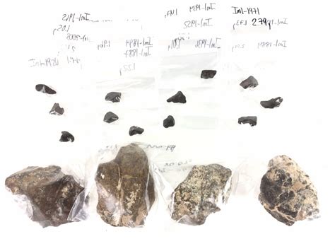 Lot 16 Iron And Nwa Stone Iron Meteorites Specimens