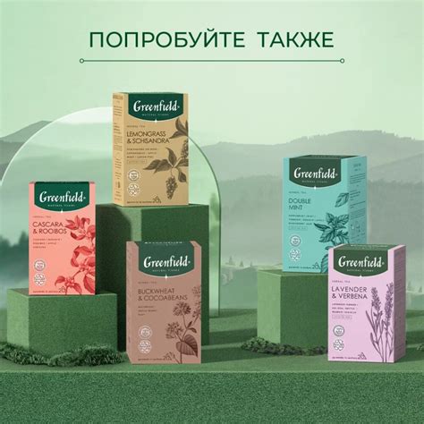 Чай GREENFIELD NATURAL TISANE Matcha & Orange Leaf, матча/травяной, 20 ...