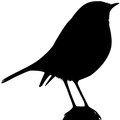 Robin Bird Silhouette Free Vector Silhouettes