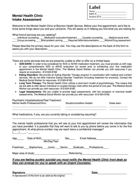 Mental Health Intake Assessment Example Fill Out And Sign Online Dochub