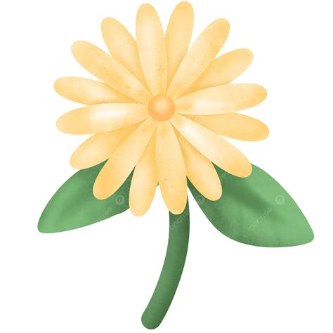 Imágenes Prediseñadas De Flor De Margarita Amarilla Png Dibujos