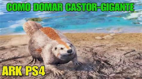 Como Domar Castor Gigante Ark Ps Youtube