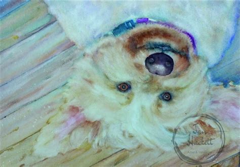 Commissions Jan Hackett Art