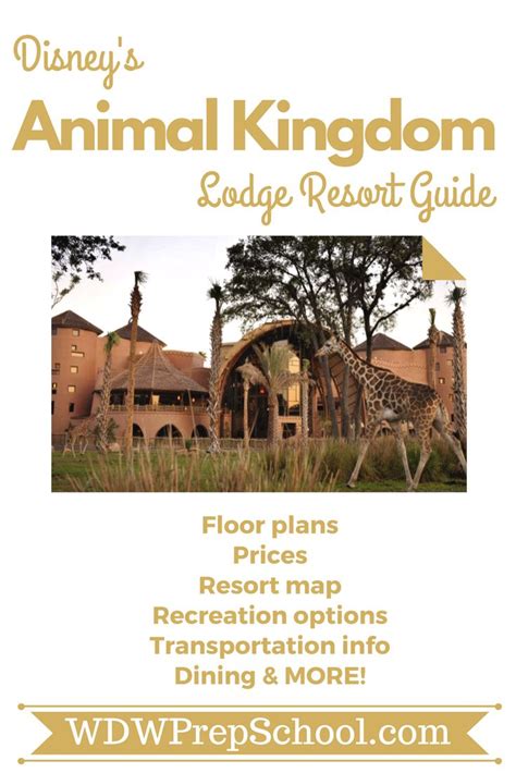 Animal Kingdom Lodge Map And Room Layouts Wdw Prep School Animal