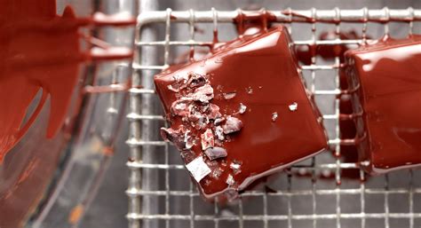 Chocolate Hazelnut Bites Recipe Thrive Market