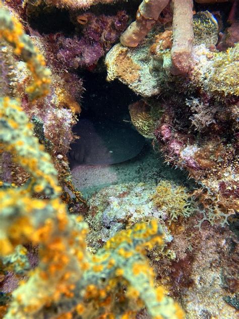 Grenada's best-kept secrets