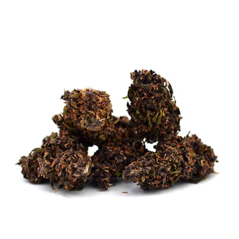 Purple Haze Cbd 🍇 Indoor Natürliche Qualitätsblumen Mama Kana