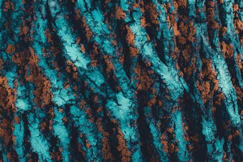 Teal And Orange Images Browse 1958 Stock Photos Vectors And