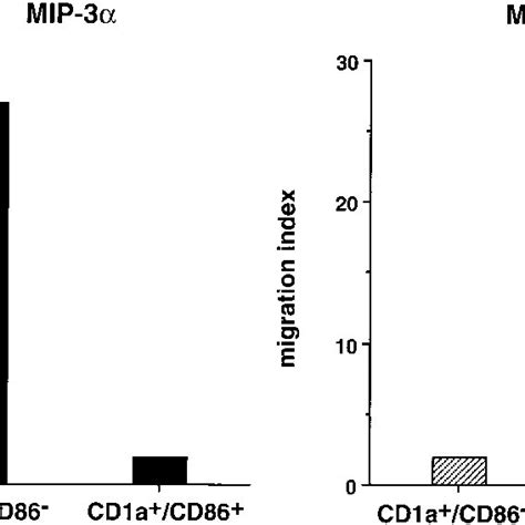 Cd A Cd Immature Dcs And Cd A Cd Mature Dcs Respond To Mip And