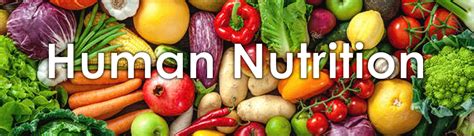 Human Nutrition