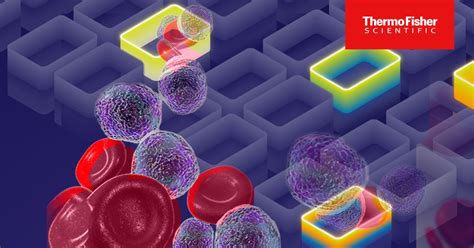 Mutation Detection Using Digital PCR | Thermo Fisher Scientific - US ...