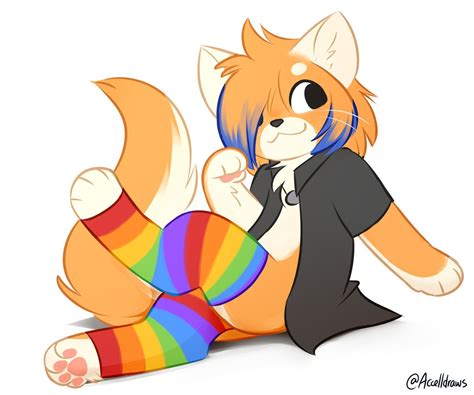 Accell On Twitter Rt Accelldraws Gay Cat Gay Cat