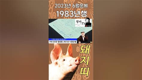 2023년 6월 돼지띠운세 1983년생 6월운세 1983 돼지띠운세 이달의운세 2023년운세 운세 띠운세 무료