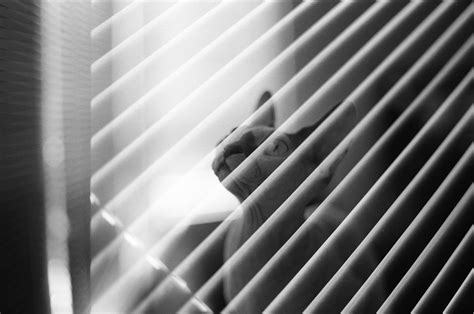 169 best Ilford Delta 100 images on Pholder | Analog, Largeformat and ...