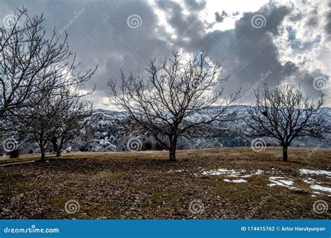 Nice Winter Landscape Naked Trees On Top Of A Mountain Stock Photo