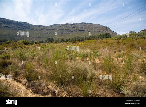 Landscape Close To Citrusdal In The Western Cape Of South Africa Stock