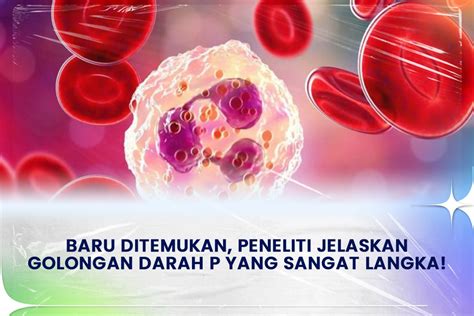 Trans7 Baru Ditemukan Peneliti Jelaskan Golongan Darah P Yang Sangat