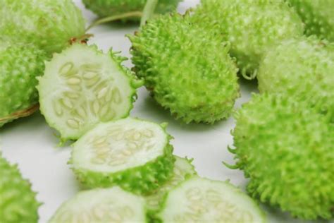 Como Fazer Maxixe Saúde Natural
