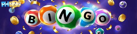 explore  bingo pavilion guide  entertainment  community