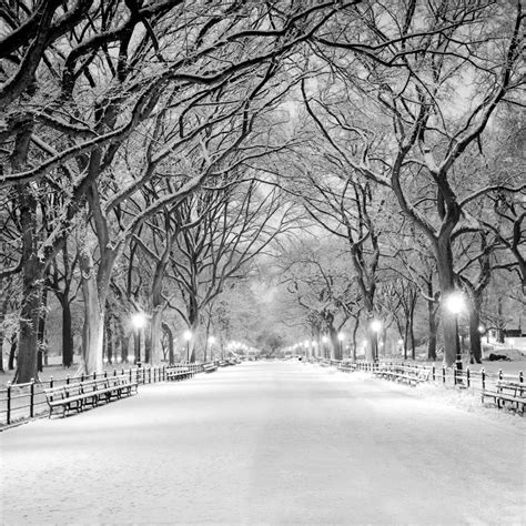 Central Park Reservoir Wall Art Canvas Prints Art Prints And Framed Canvas