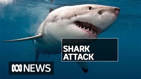 Diver killed in fatal shark attack near Esperance off WA's south-east