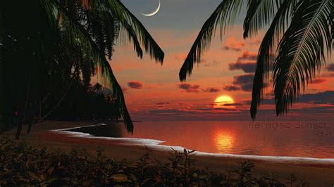 Download Tropical Beach Paradise Sunset Wallpaper | Wallpapers.com