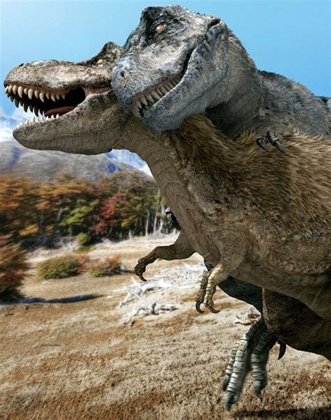 Scientists Reveal How Dinosaurs May Have Had Sex And The Length Of A T Rex S Sexual Organ