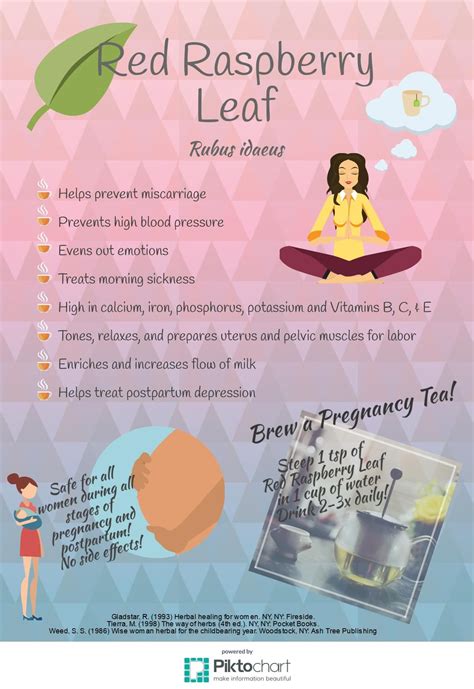 Raspberry leaf tea as a uterine tonic – Artofit