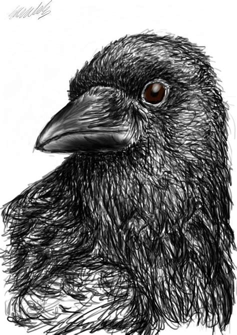 Crow head by featherunicorn on DeviantArt