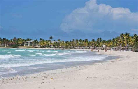 Varadero Beach World Travel Toucan