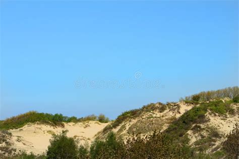 Landscape Of The Sand Dune With Vegetation Stock Photo Image Of