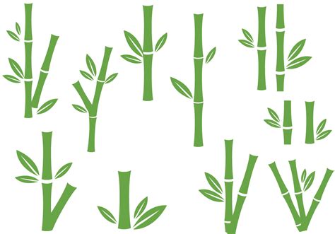 bamboo vectors  vector art  vecteezy
