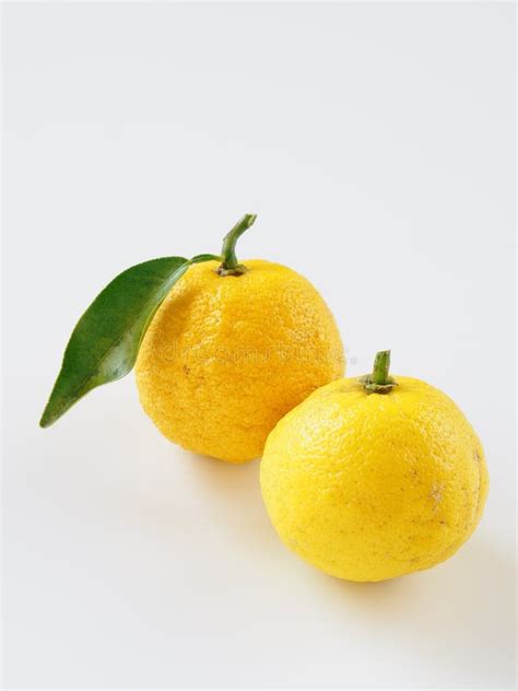 Yuzu Placed On A White Background Stock Image Image Of White Fruits