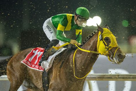 【ドバイワールドカップ】川田「はるか先に勝ち馬が」ウシュバテソーロ連覇ならず2着 競馬ニュースなら競馬のおはなし