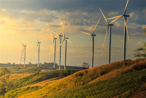 The hidden environmental costs of transitioning to wind power - Earth.com