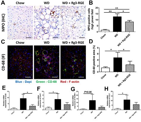 Figure 2 From Ginsenoside Rg3 Enriched Korean Red Ginseng Extract