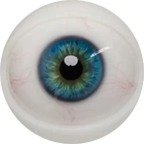 Male Sex Doll Henry Fanreal Cm Best Realistic Anime Sex Dolls My Robot Doll