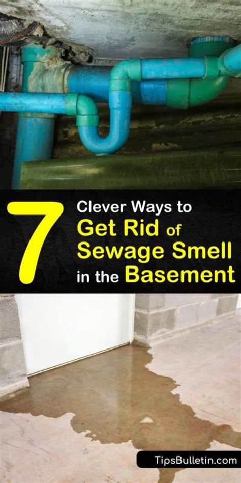 7 Clever Ways To Get Rid Of Sewage Smell In The Basement