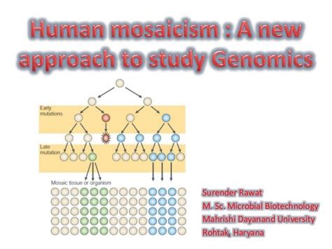 Genome mosaicism