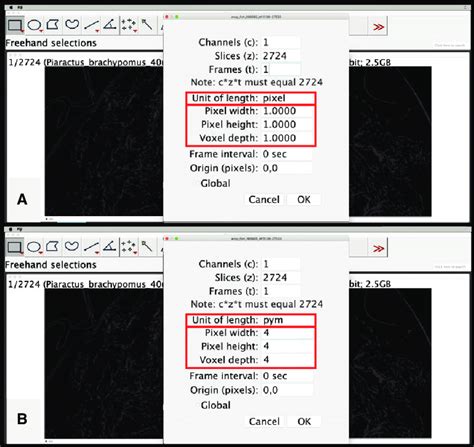 Specifying Voxel Size For The Ct Image Stack From Workflow Step Using