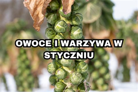 Owoce I Warzywa W Styczniu Si A W Naturze