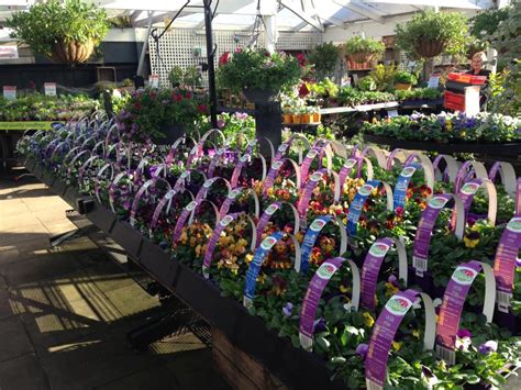 Bay Road Nursery Melbourne