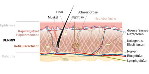 Der aufbau – Telegraph