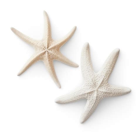 Premium Ai Image White Starfish Isolated